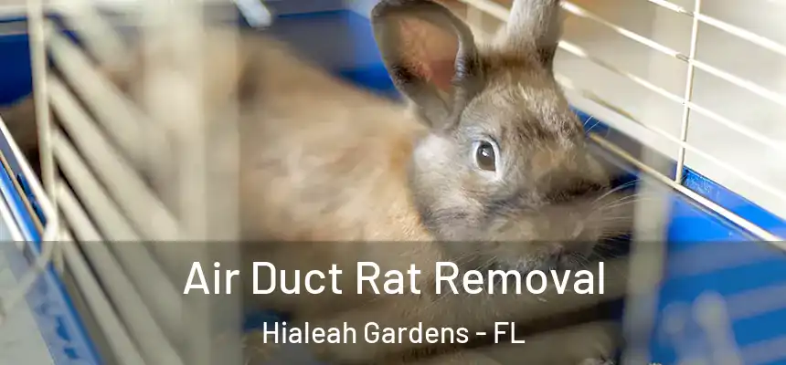  Air Duct Rat Removal Hialeah Gardens - FL