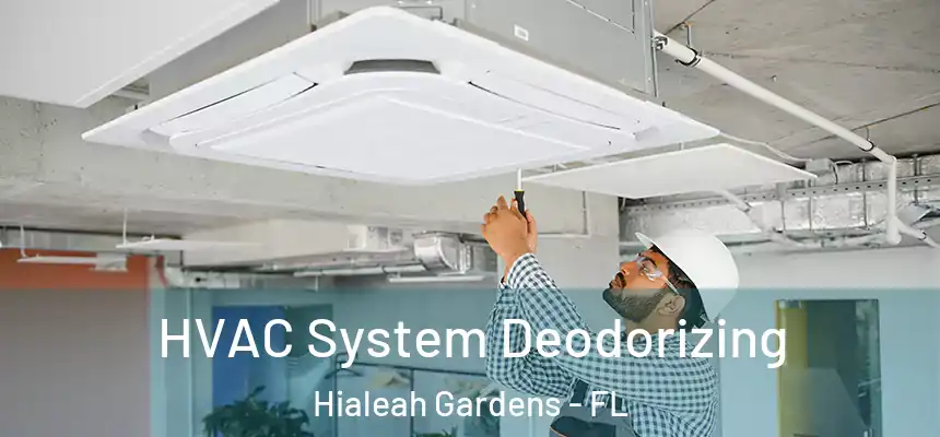 HVAC System Deodorizing Hialeah Gardens - FL