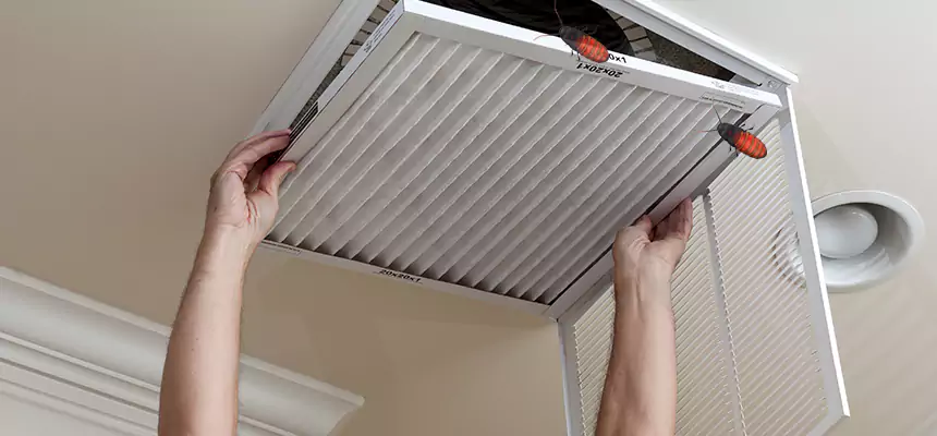 Preventive Cockroach-Proofing for Ducts in Hialeah Gardens