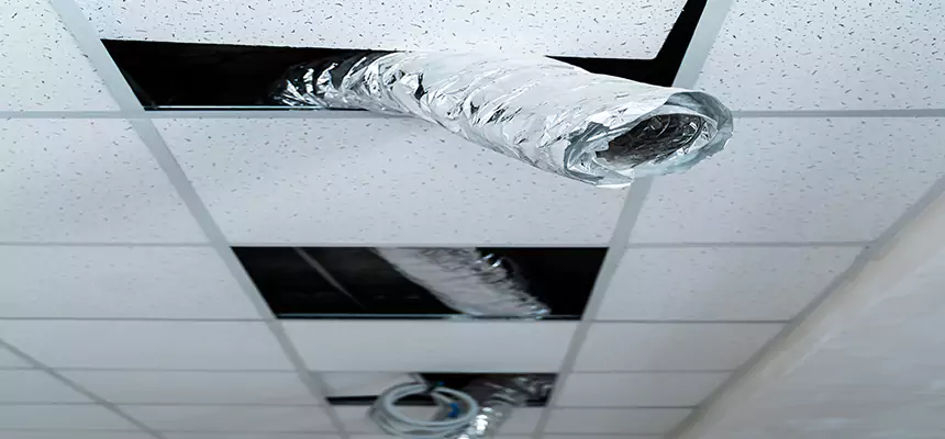 Affordable HVAC Sanitizing After Pest Removal in Hialeah Gardens