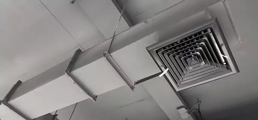 Our Rodent Droppings In Vents Services in Hialeah Gardens, FL