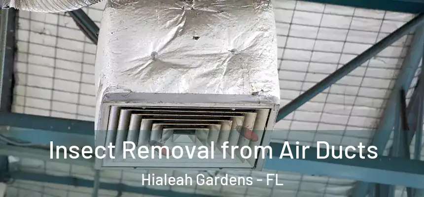 Insect Removal from Air Ducts Hialeah Gardens - FL