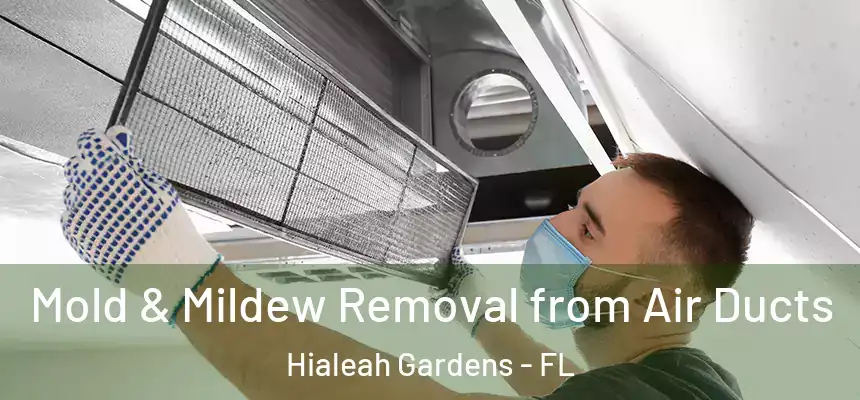Mold & Mildew Removal from Air Ducts Hialeah Gardens - FL