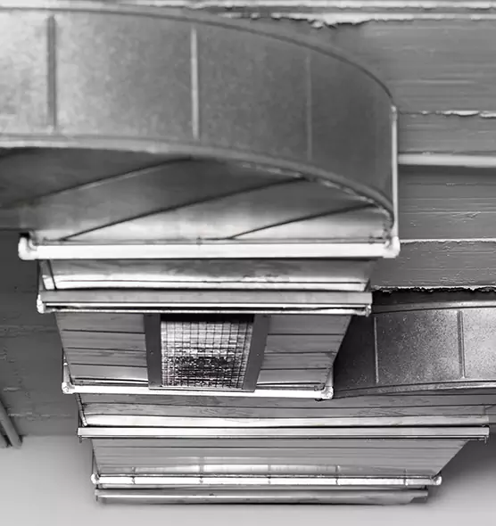 Professional Air Duct Pet Hair Removal in Hialeah Gardens, FL