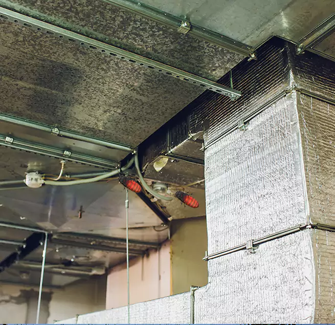 Why Homeowners & Businesses Trust Us in Hialeah Gardens, FL?