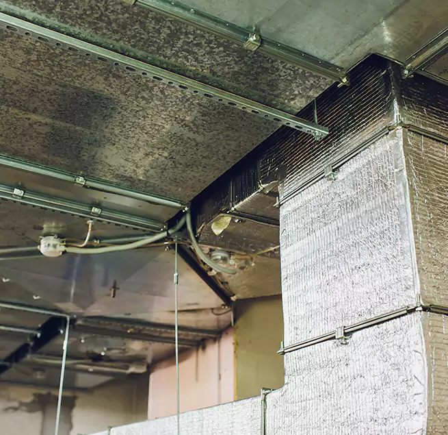 Why Homeowners & Businesses Trust Us in Hialeah Gardens, FL?